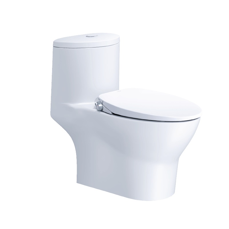 Bàn cầu kết hợp nắp cơ đa năng