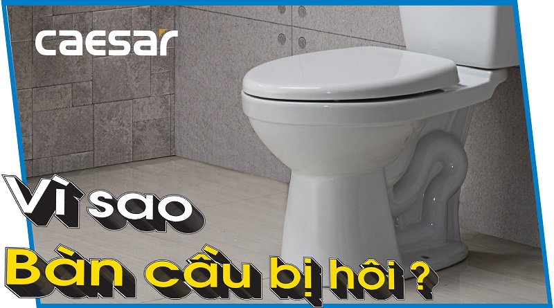 Nguyên nhân và cách khắc phục bàn cầu hôi